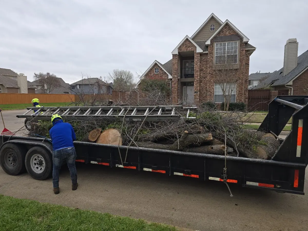 Expert Lot Clearing with proper safety equipment in Lakota